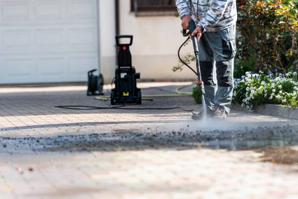 Best Roof Pressure Washing  in Zolfo Springs, FL